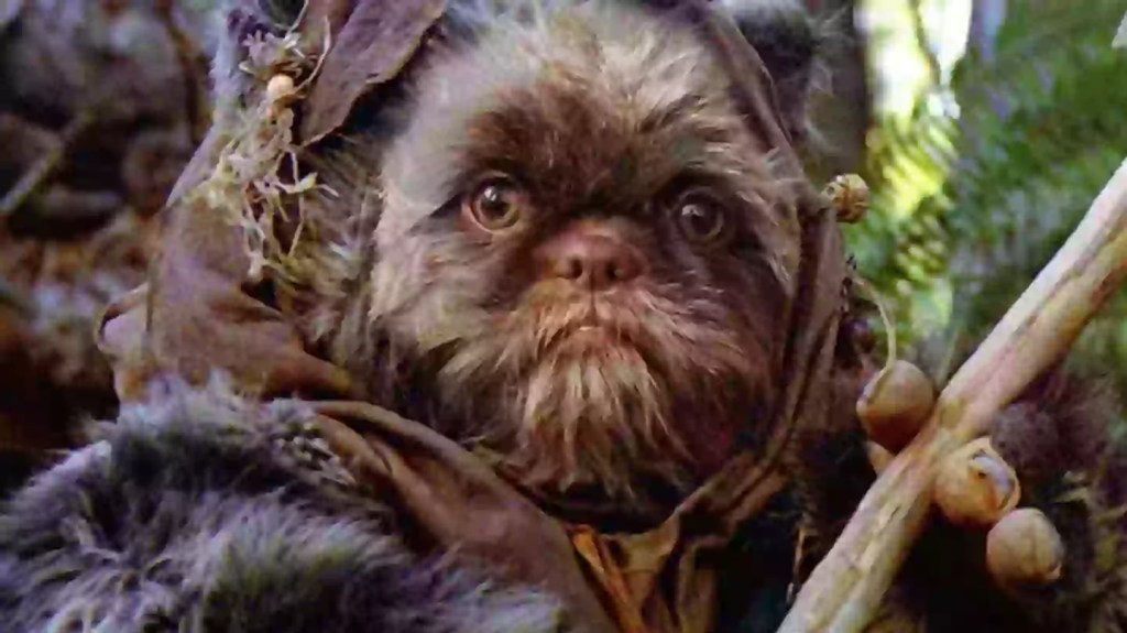 GD Ewoks