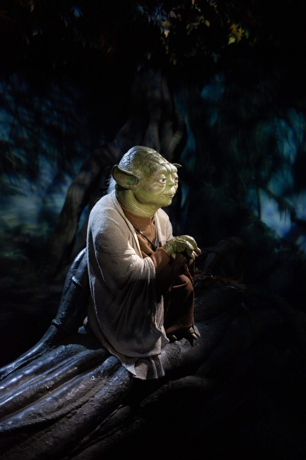 Too Old. Too Old to Begin the&nbsp;Training.